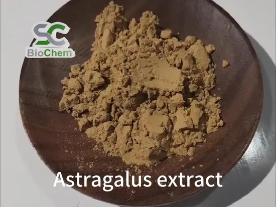 Extrato de raiz de astrágalo de melhor preço 99% cicloastragenol